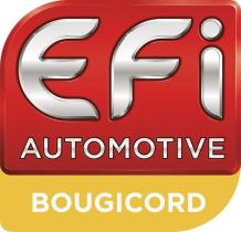 Bougicord 302483 - EFI/BOUGICORD SENSOR REVOLUCIONES RUEDA-ABS